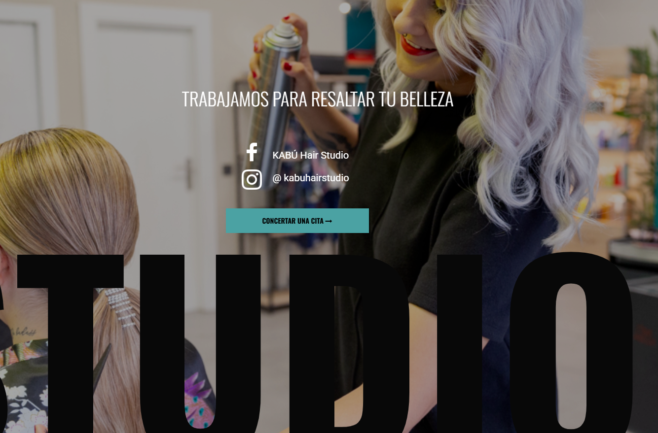 Web con e-commerce para salón local