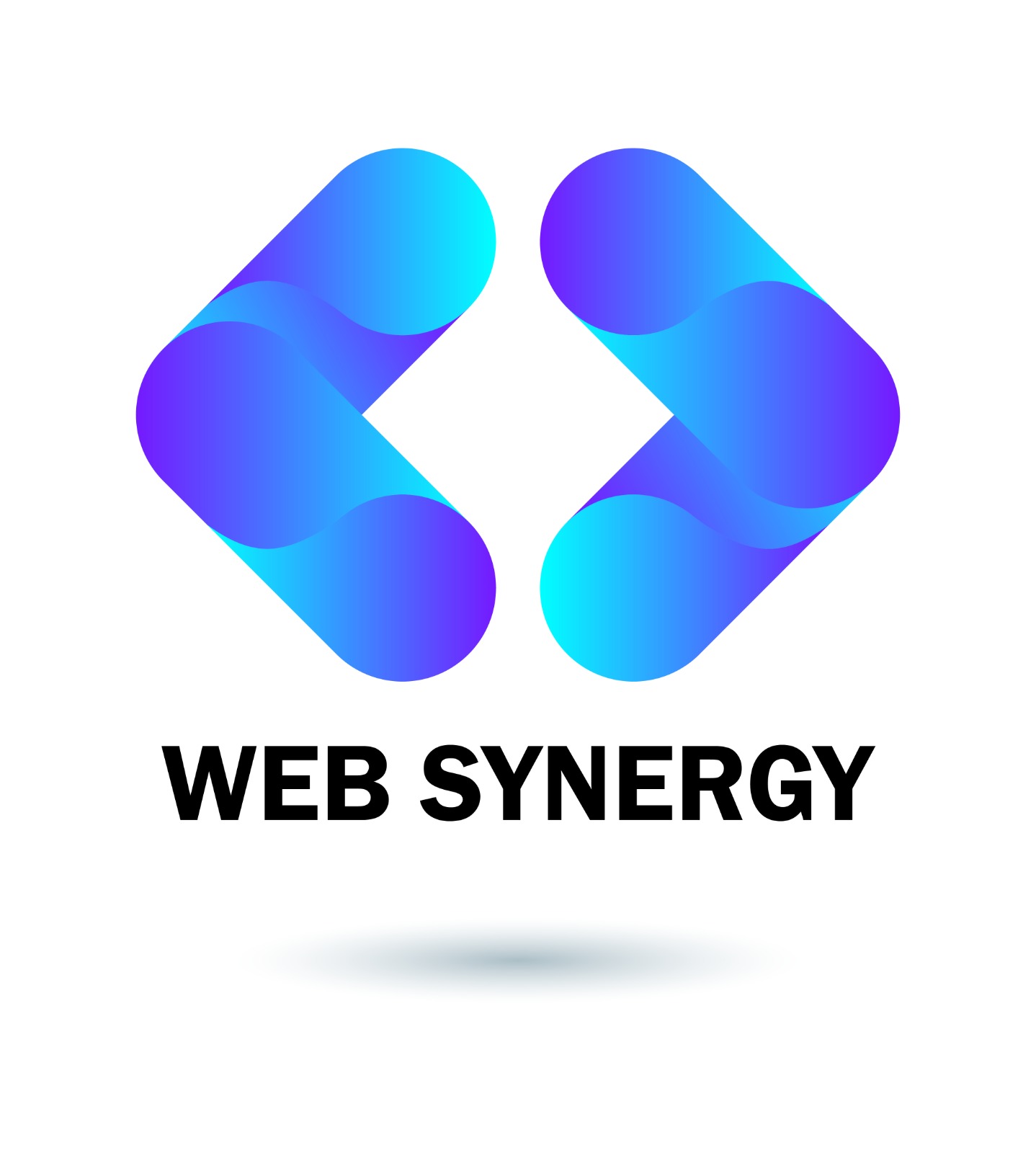 Web Synergy logo