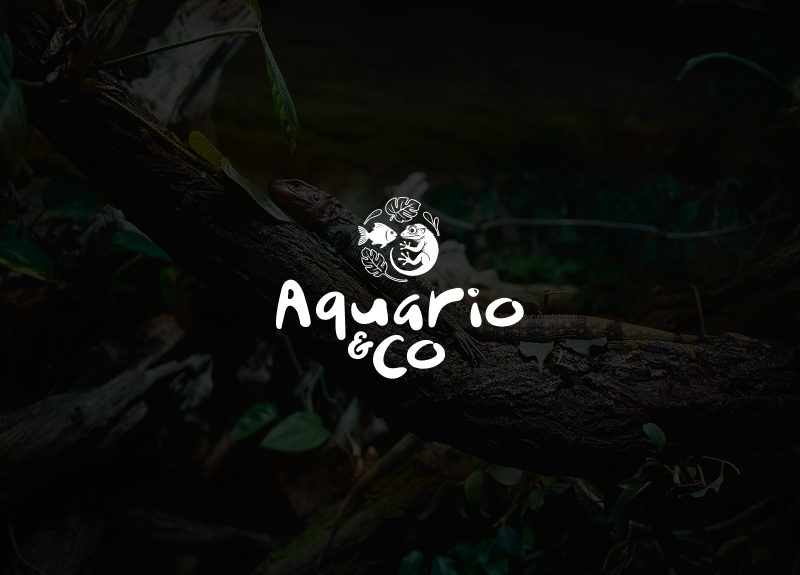Rebranding y renovación de e-commerce especializado