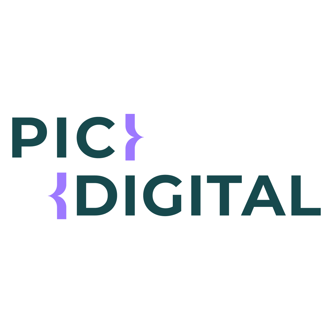 PIC DIGITAL logo