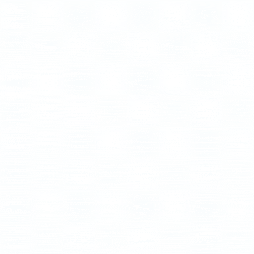 Bryan srl logo