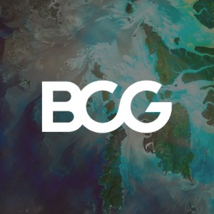 Boston Consulting Group logo