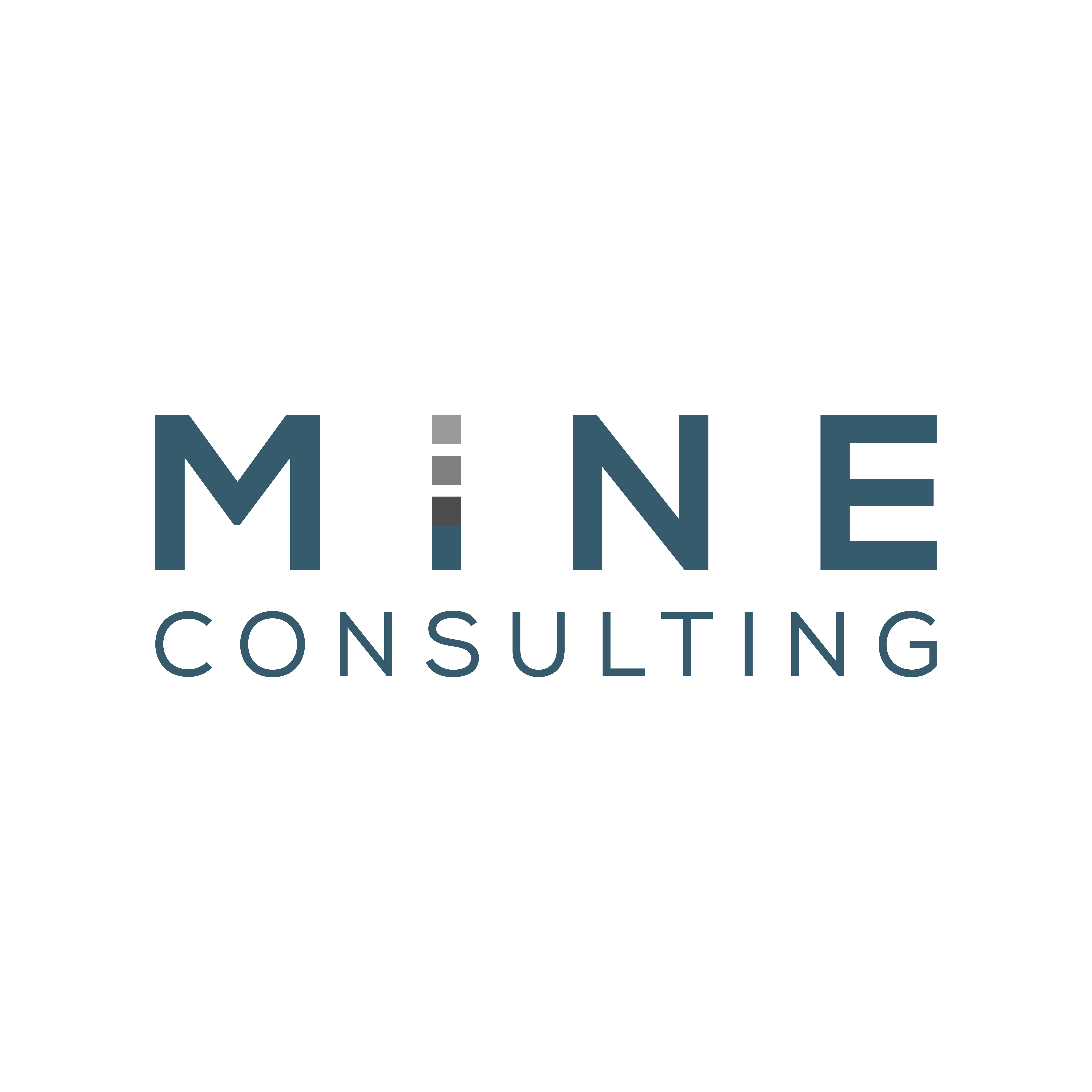 Mine consulting srl logo