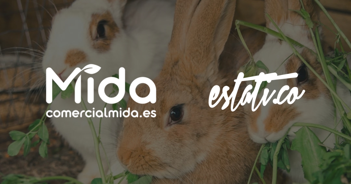 Sistema digital para empresa comercial