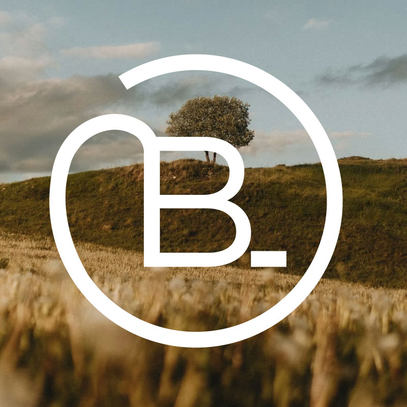 Bangluxor logo