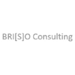 BRIZO Consulting Deutschland GmbH logo