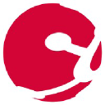 IT GLOBAL CONSULT logo