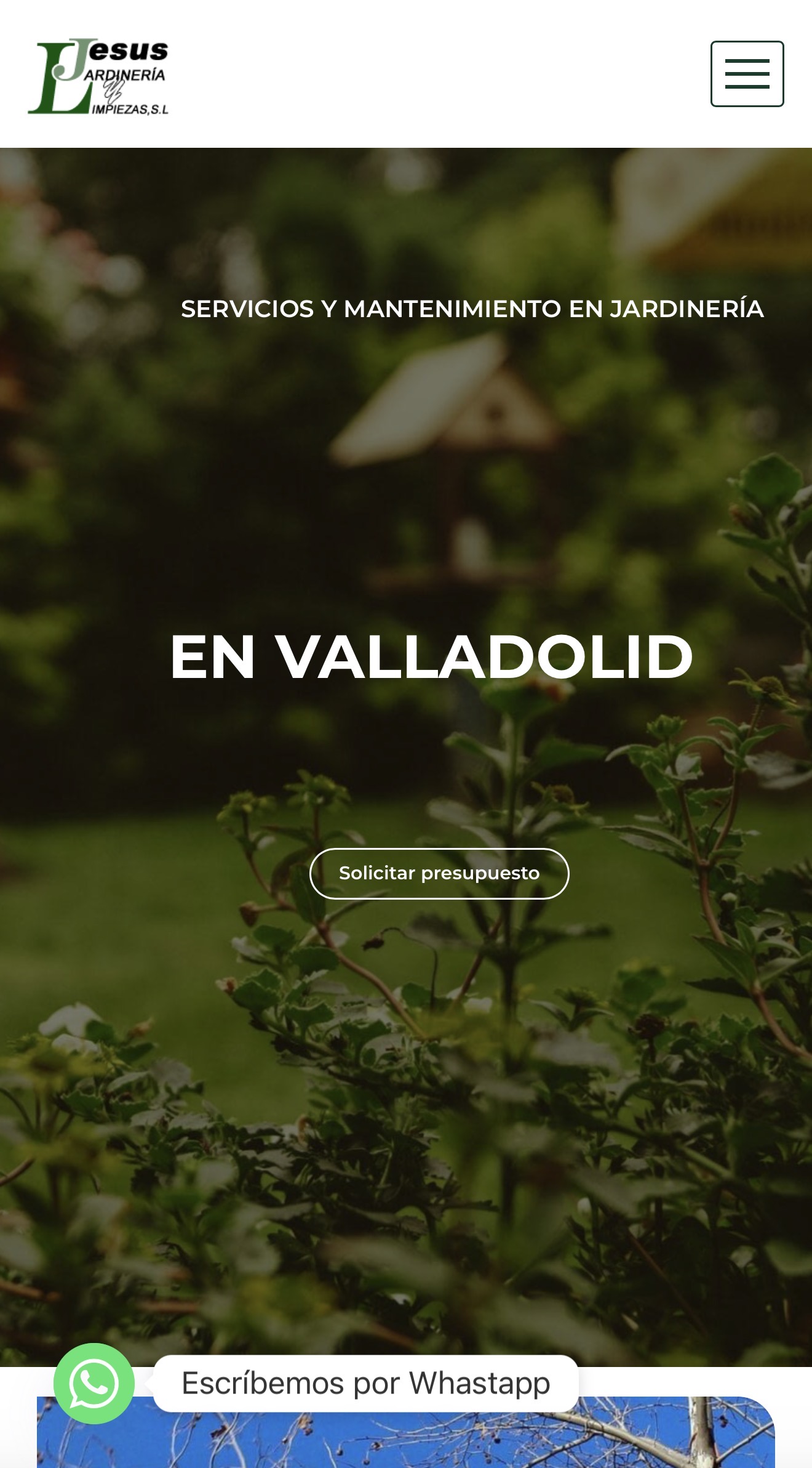 Proyecto web para negocio local