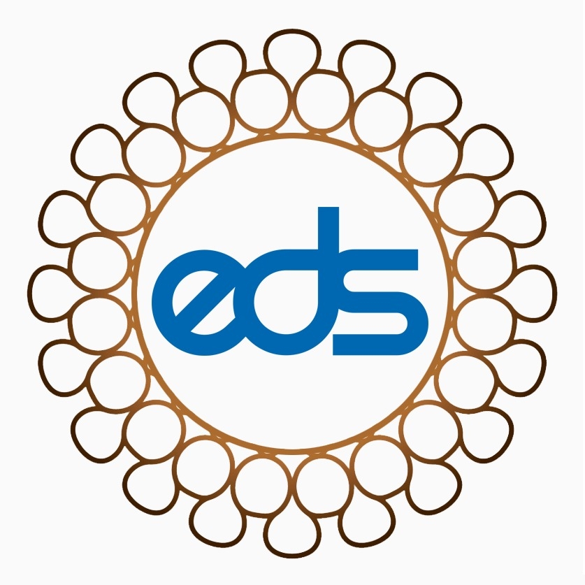 EDSFZE logo