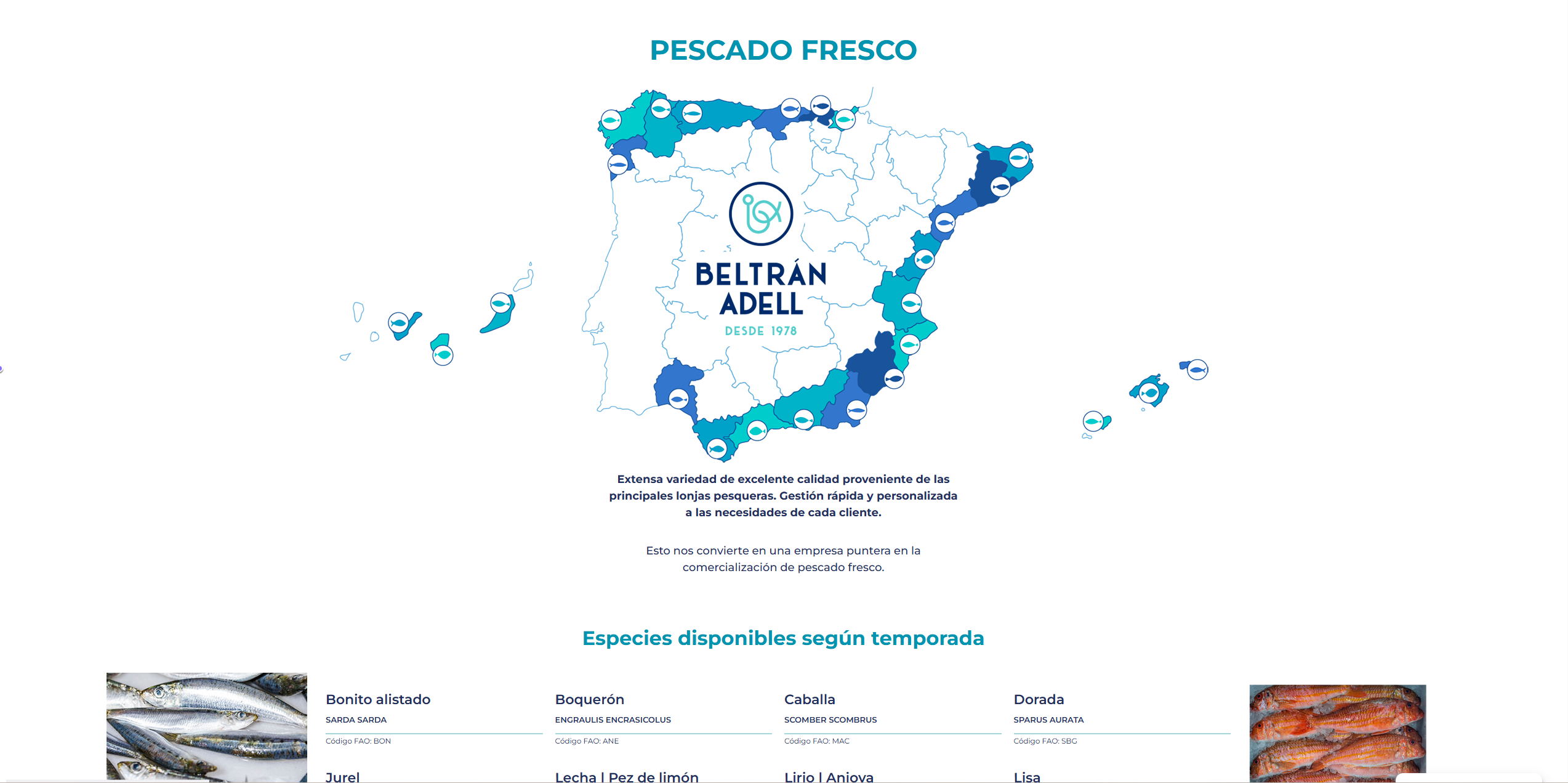 Identidad y presencia digital para distribuidor alimentario