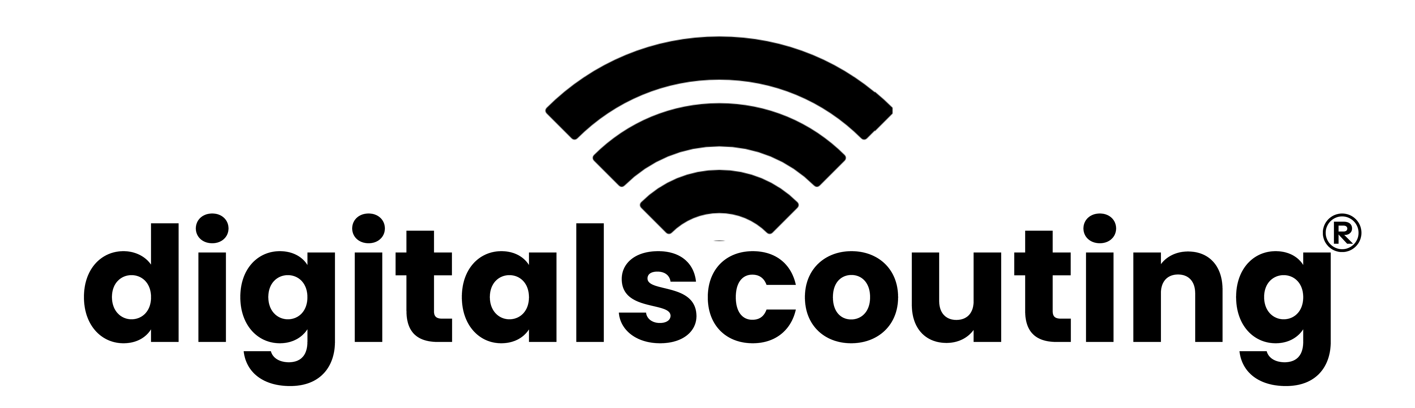 Digitalscouting logo
