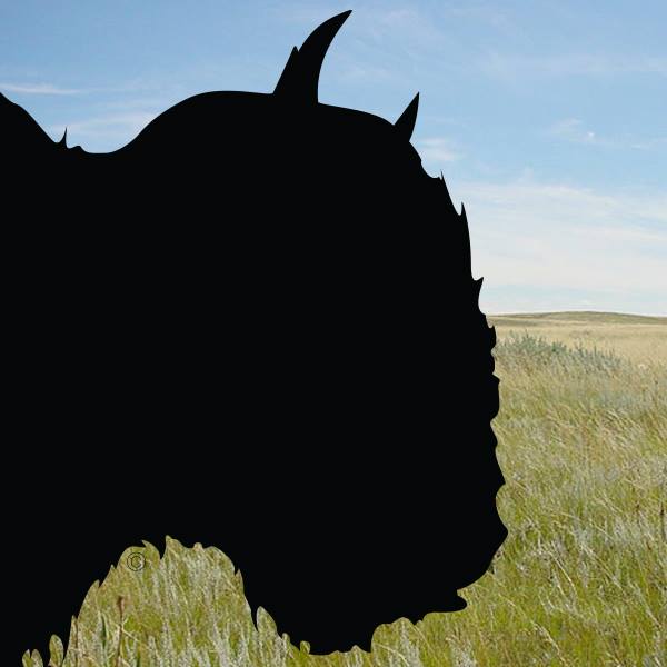 Buffalo Casting logo
