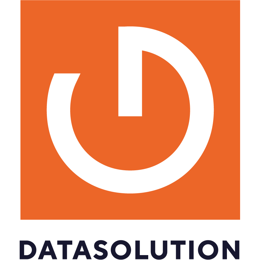 DATASOLUTION logo