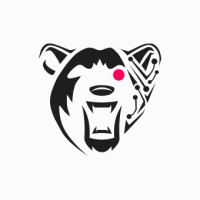 CyBearSoft - Software Development Company logo