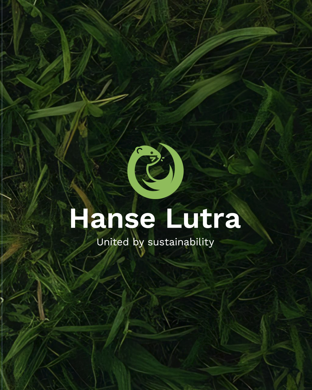 Branding y web para una iniciativa sostenible