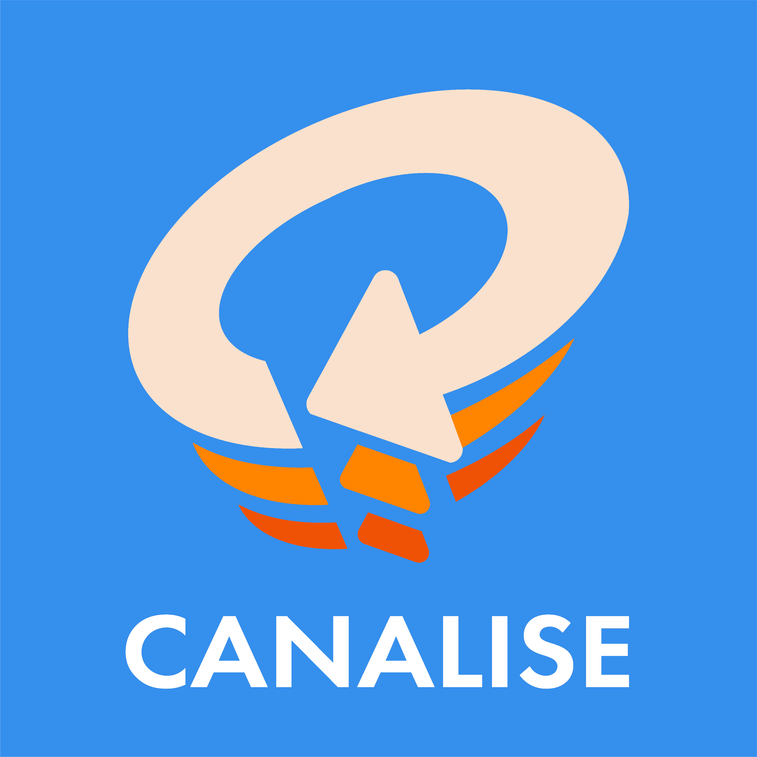 Canalise Marketing logo