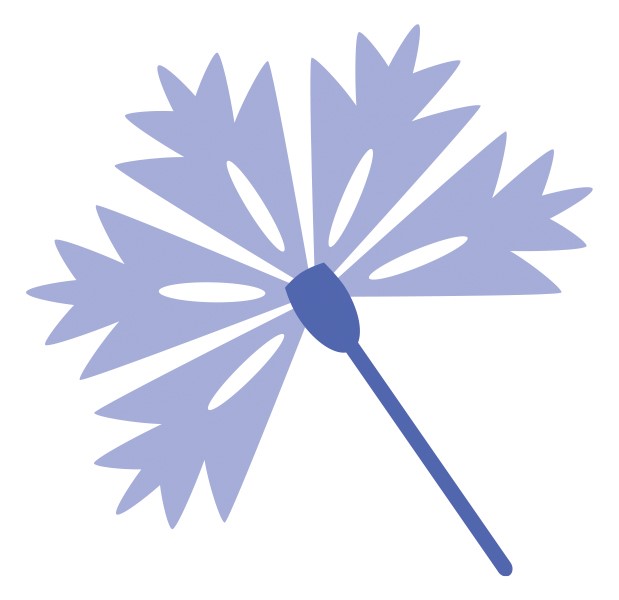Bjoorn Marketing logo