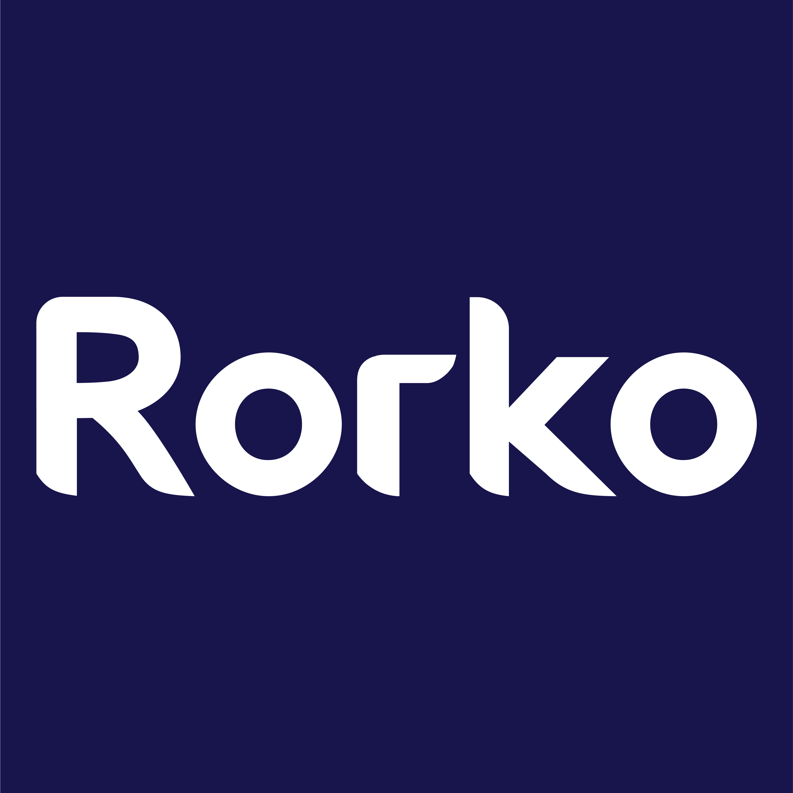 Rorko India Private Limited logo