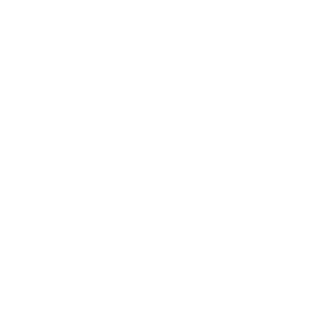 Simba agency logo