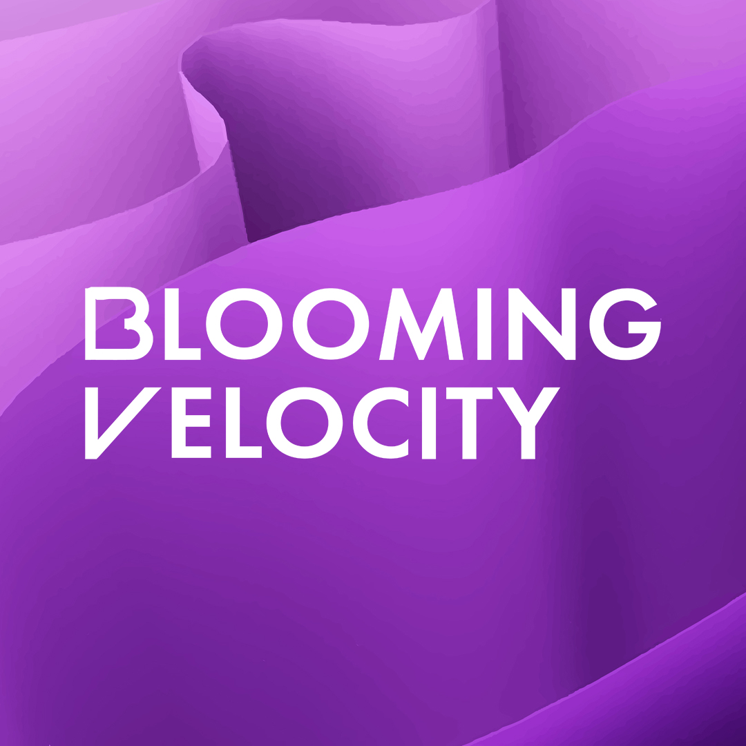 Blooming Velocity logo
