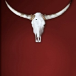 Vier für Texas logo