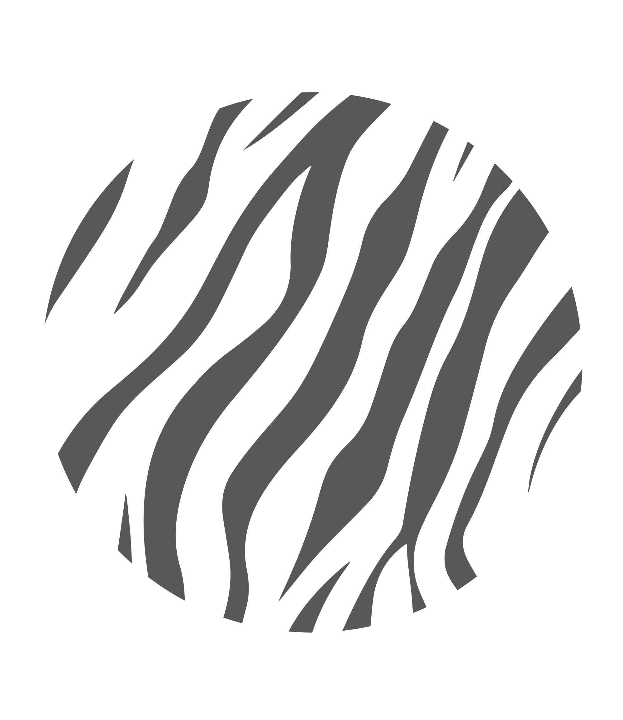 Crossing Zebra logo