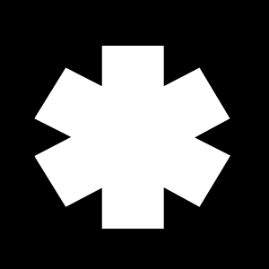 Starbrand* logo