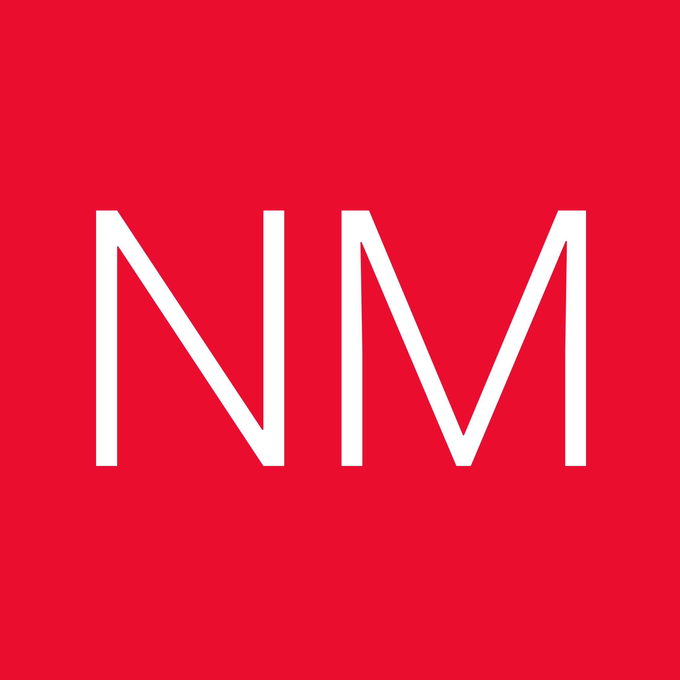 NewsMaster logo