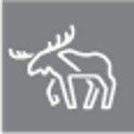 Motherland AB logo