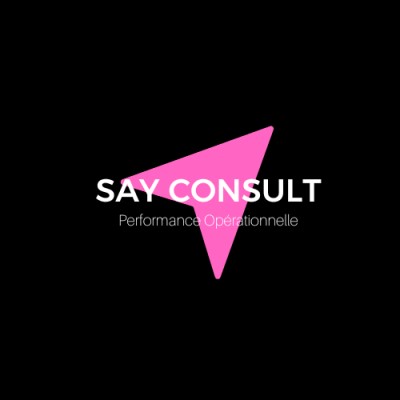 SAY Media Consulting logo