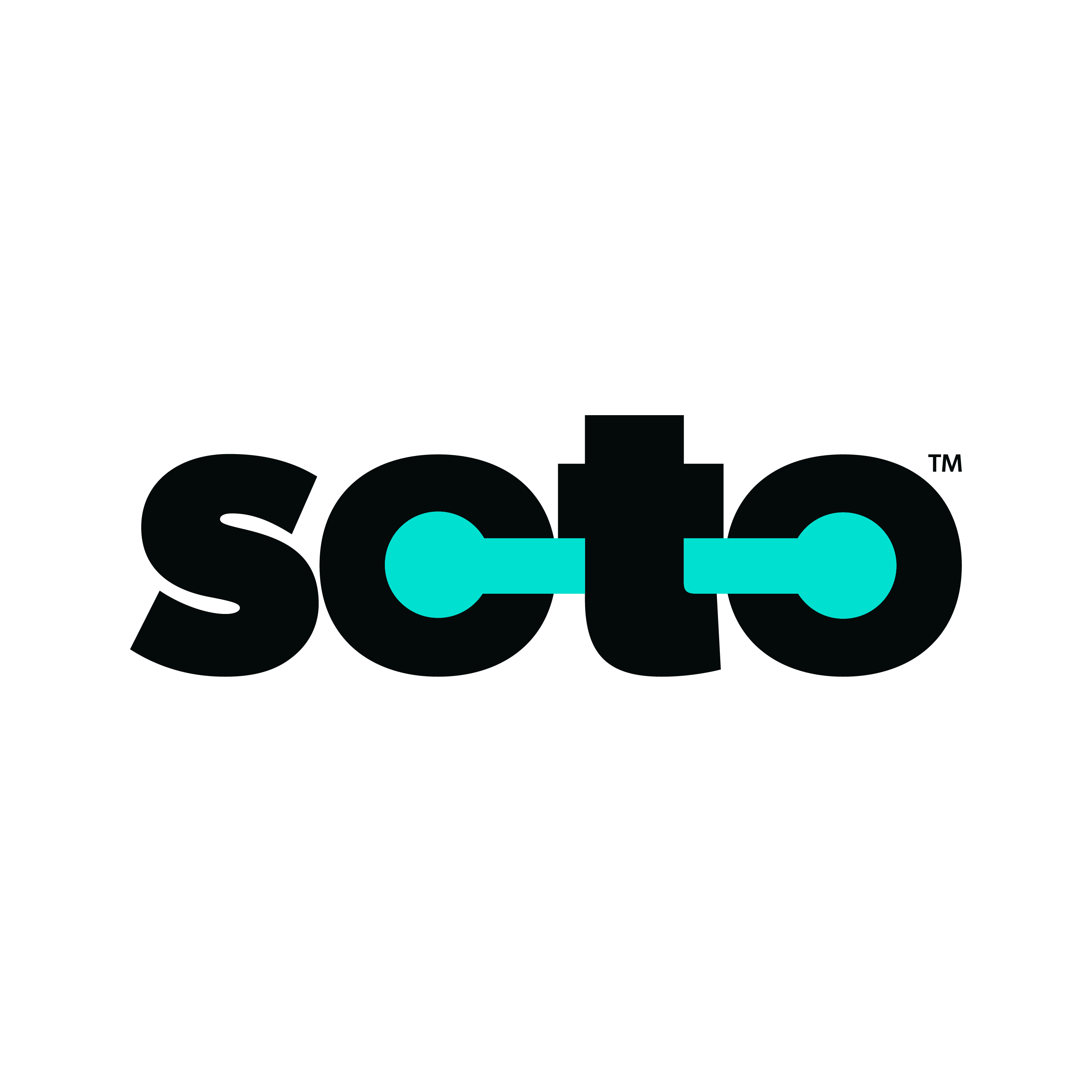 Soto Group logo