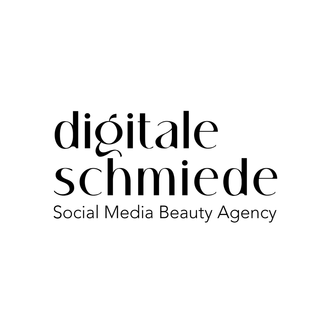 DIGITALE SCHMIEDE GmbH logo