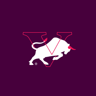 Vigor logo