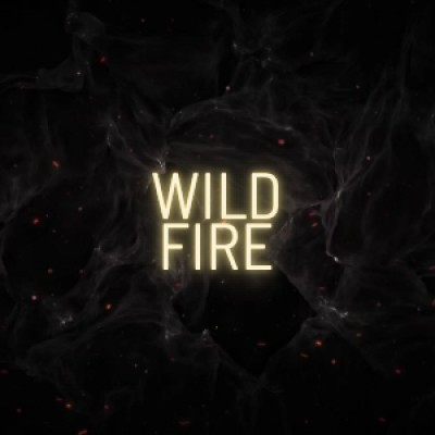 Wildfire Asia logo