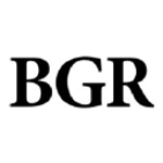 BGR Group logo