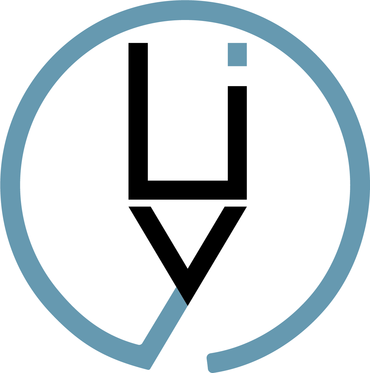 Likeyou srl logo