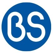 BlueSwitch Shopify Developer & Marketing Agency logo