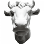 REGULAR ANIMAL logo