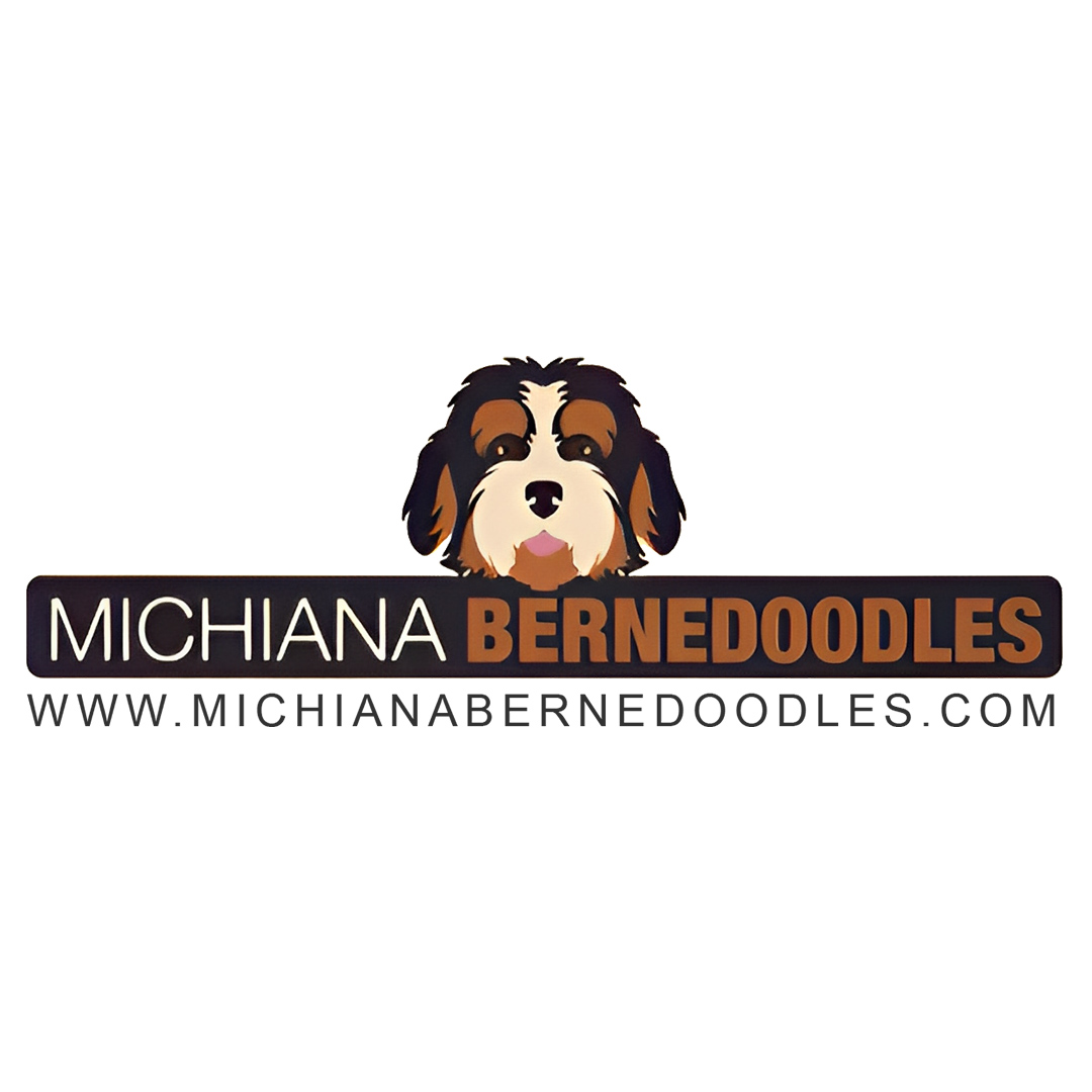 Tri Color Bernedoodle For Sale | Michiana Bernedoodles logo