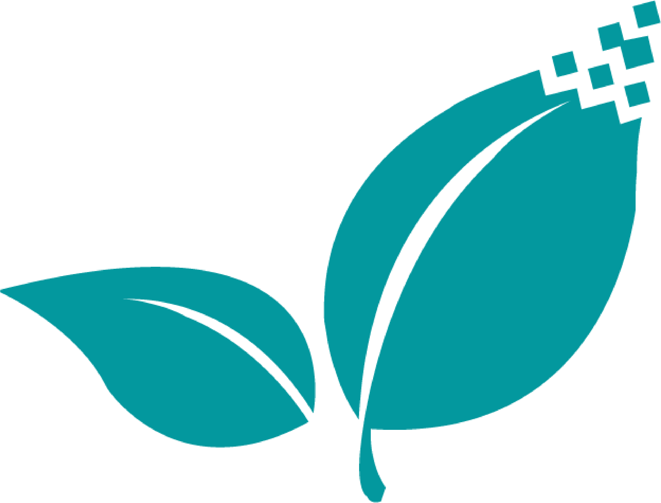 Agence conseil digital Digitalmint logo