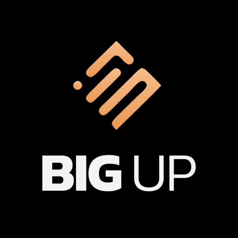 BIG UP logo