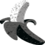 Wild logo