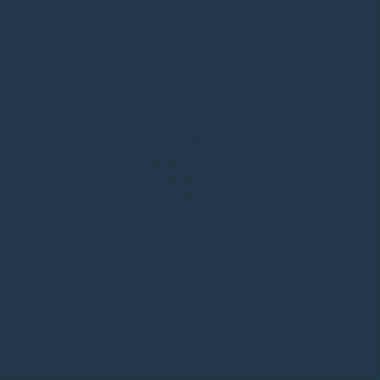 rankeffect digital GmbH logo