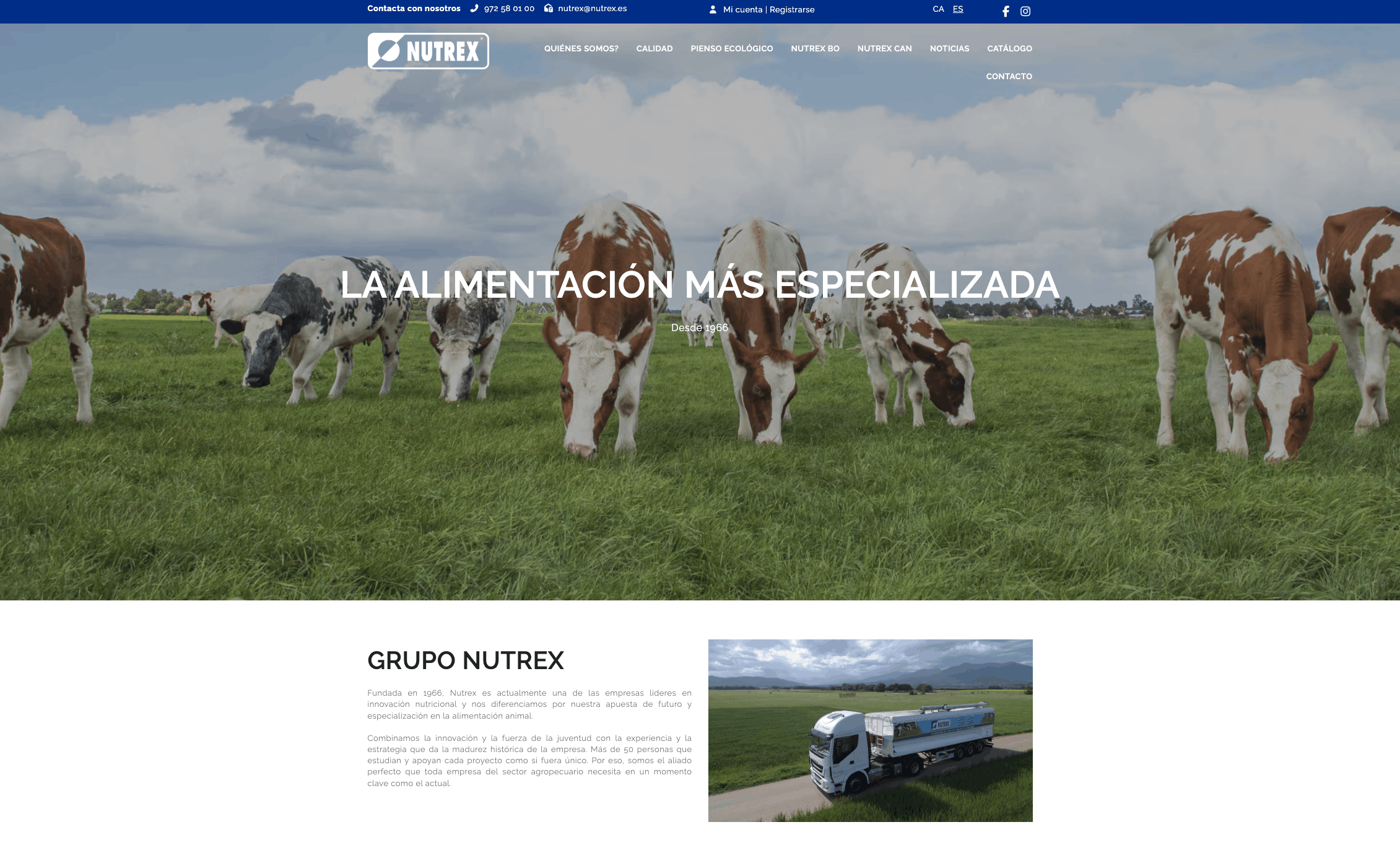 Aplicación no-code para procesos internos