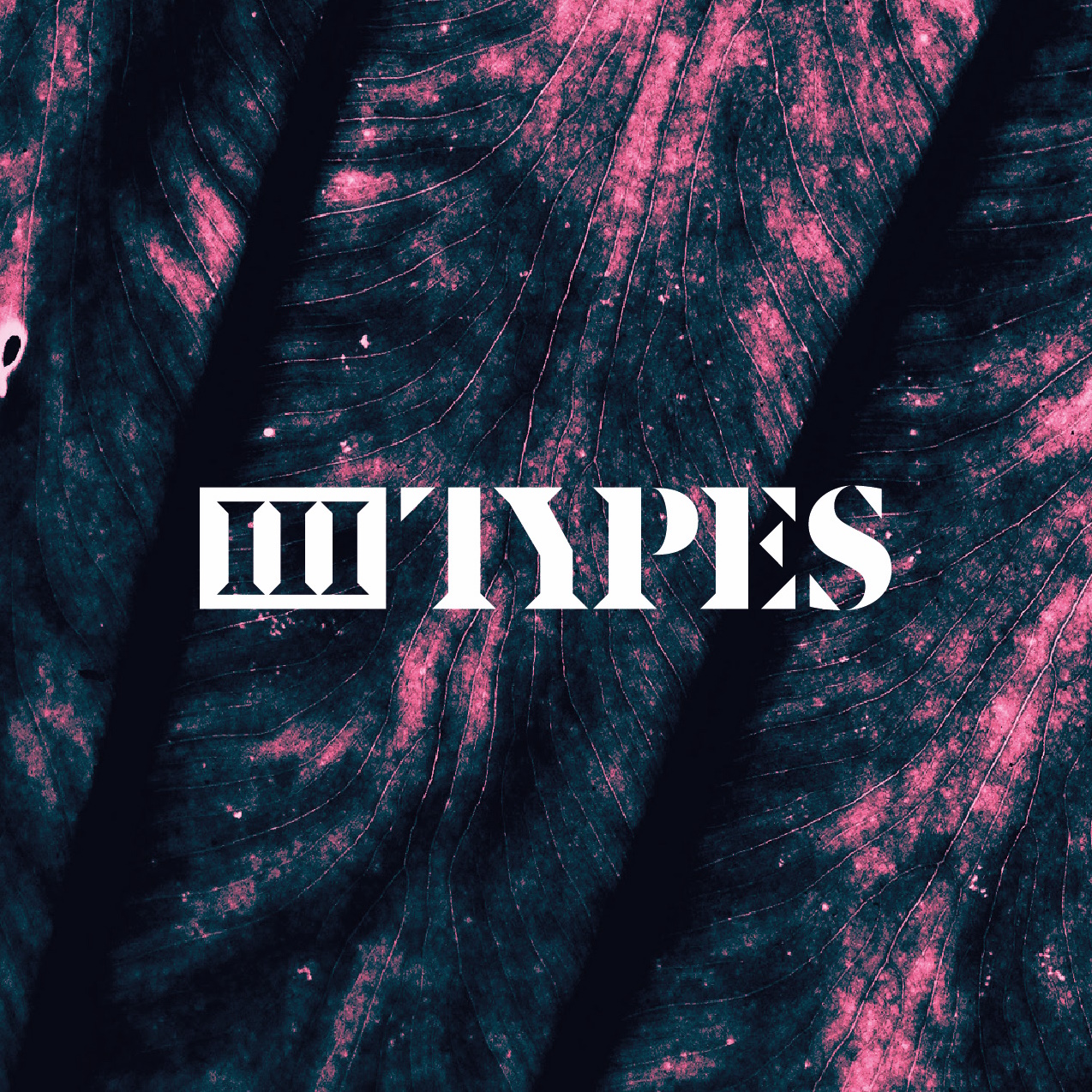 3Types Studio logo