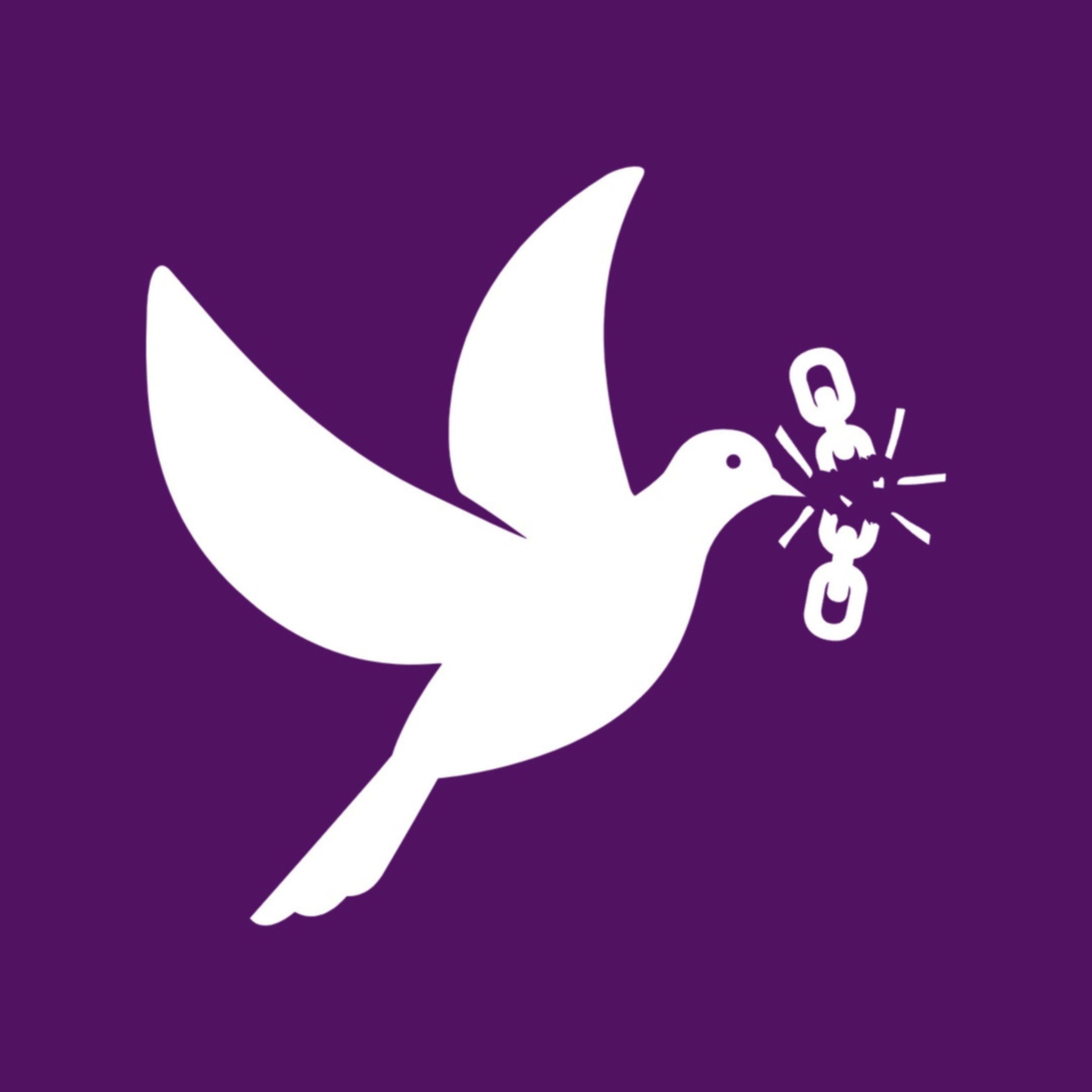 SS Media logo