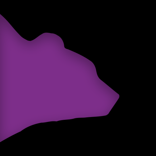 bearhouse logo