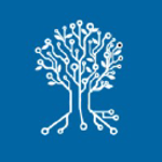 Netzer logo