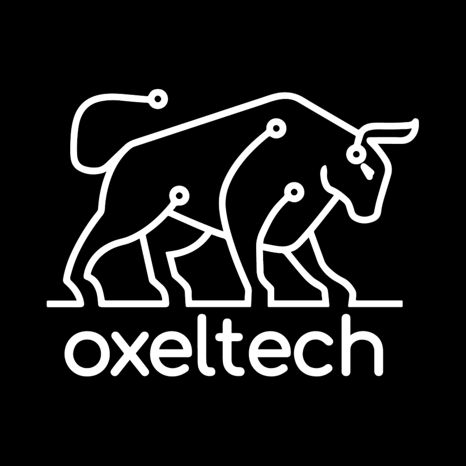 Oxeltech GmbH logo